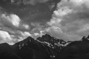 Solicitors In Family Law