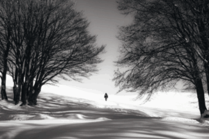 Divorce Financial Settlement