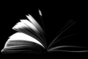 Solicitor In Family Law