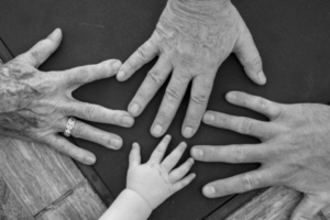 Solicitor For Family Law